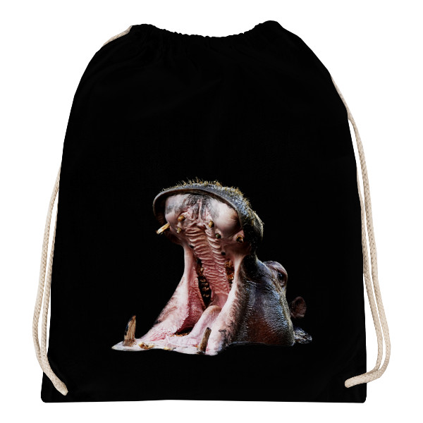 Gymsack s potiskem Hippo and horse - backpack