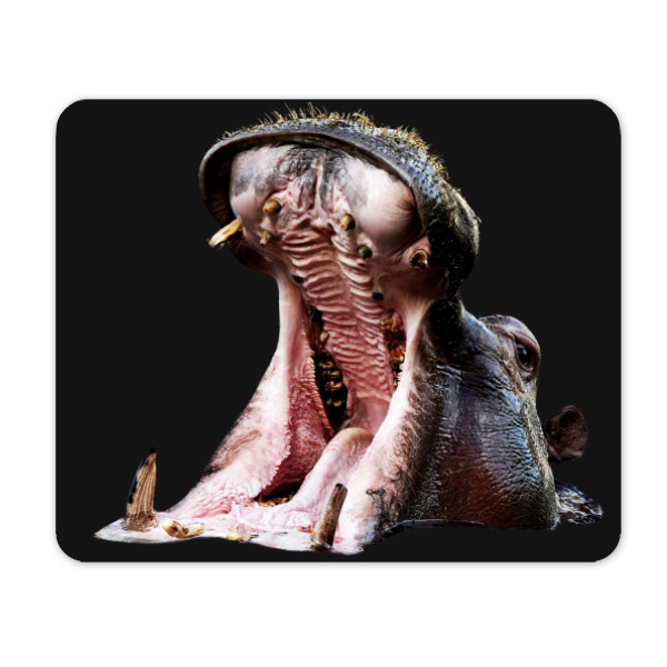 Mouse pad s potiskem Yawning hippopotamus - mouse pad
